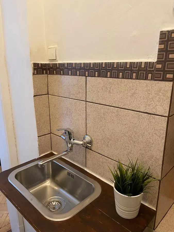 Appartamento Cismigiu Park View Bucarest